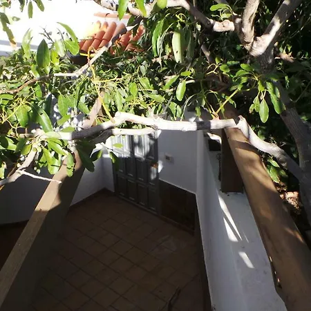 Private Amazing With Pool, Forest And Very Close Beach